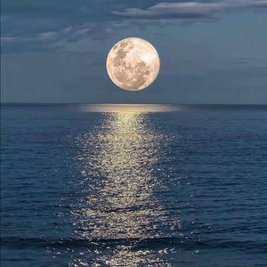 Meet your Posher, Maryam